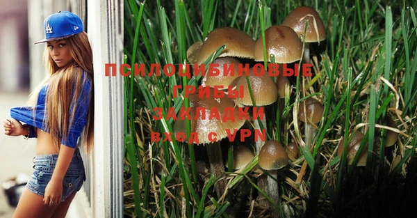 прущий лед Аркадак