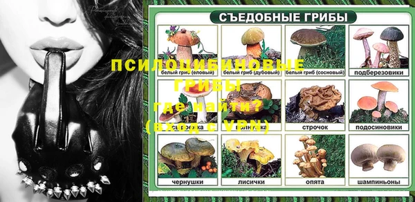 герыч Арсеньев
